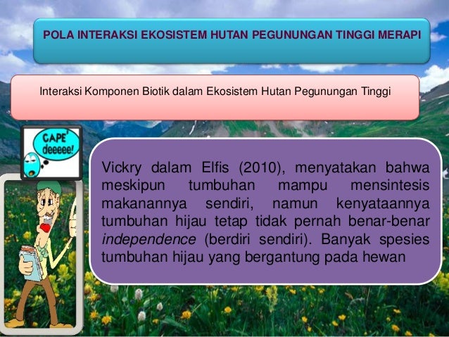 Ekologi tumbuhan ekosistem hutan pegunungan tinggi