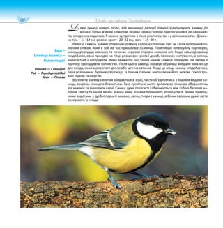 110 Цікаве про тварин Чернігівщини
еякі синиці живуть осіло, але мешканці далекої півночі відкочовують взимку до
місць із більш м’яким кліматом. Велика синиця чудово пристосувалася до ландшаф-
тів, створених людиною. Її можна зустріти як у лісах усіх типів, так і у великих містах. Довжи-
на тіла – 11–12 cм, розмах крил – 20–22 см, вага – 15–20 г.
Навесні самець займає домашню ділянку і одразу сповіщає про це своїх суперників го-
лосним співом, який в той же час приваблює і самиць. Помітивши потенційну партнерку,
самець розпушує маніжку та починає нервово пурхати навколо неї. Якщо кавалер самиці
сподобався, вона присідає на гілці, розкриває крила і дзьоб, і вимагає частування, а самець
намагається її нагодувати. Вчені вважають, що таким чином самиця перевіряє, чи зможе її
партнер прогодувати потомство. Після цього самець показує обраниці вибране ним місце
для гнізда, яким може стати дупло або штучна хатинка. Якщо це місце самиці сподобається,
пара розпочинає будівництво гнізда із тонких гілочок, вистилаючи його мохом, сухою тра-
вою, пухом та шерстю.
Восени та взимку синички збираються в зграї, часто об’єднуючись з іншими видами си-
ниць, зокрема синицею блакитною. Таке суспільне життя допомагає пташкам оборонятись
від хижаків та знаходити харчі. Синиці дуже голосисті і обмінюються між собою багатим на-
бором свисту та інших звуків. У кінці зими зграйки починають розпадатися. Їхніми природ-
ними ворогами є дрібні пернаті хижаки, ласки, тхори і куниці, а білки і ворони дуже часто
розорюють їх гнізда.
Вид –
Синиця велика –
Parus major
Родина — Синицеві
Ряд — Горобцеподібні
Клас — Птахи
Д
 