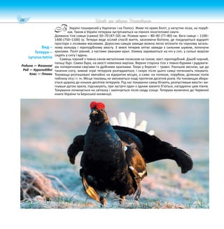 116 Цікаве про тварин Чернігівщини
Україні поширений у Карпатах і на Поліссі. Живе по краях боліт, у негустих лісах, на поруб-
ках. Також в Україні тетеруки зустрічаються на півночі лісостепової смуги.
Довжина тіла самця (самки) 50–70 (47–50) см. Розмах крил – 80–90 (77–80) см. Вага самця – 1100–
1400 (750–1100) гр. Тетерук веде осілий спосіб життя, заселяючи біотопи, де поєднуються відкриті
простори з лісовими масивами. Дорослих самців завжди можна легко впізнати по чорному загаль-
ному кольору і ліроподібному хвосту. З землі тетерев злітає завжди з сильним шумом, лопочучи
крилами. Політ рівний, з частими змахами крил. Узимку зариваються на ніч у сніг, у сильні морози
сидять у снігу і вдень.
Самець чорний з темно-синім металічним полиском на голові, хвіст ліроподібний. Дзьоб чорний,
пальці бурі. Самка бура, на хвості невелика вирізка. Верхня сторона тіла з темно-бурими і рудувати-
ми поперечними смугами та дрібними крапками. Токує у березні – травні. Ранньою весною, ще до
танення снігу, зимові зграї тетеруків розпадаються, і скоро після цього самці починають токувати.
Токовища розташовані звичайно на відкритих місцях, а саме: на полянах, порубках, ділянках полів
поблизу лісу і т. ін. Місця токовищ не змінюються іноді протягом десятків років. На токовищах збира-
ється щороку до кількох десятків тетеруків. Під час токування самці бігають, розпустивши хвости і ви-
гнувши дугою крила, підскакують, при зустрічі один з одним завзято б’ються, нагадуючи цим півнів.
Токування починається на світанку і закінчується після сходу сонця. Тетерука включено до Червоної
книги України та Бернської конвенції.
Вид –
Тетерук –
Lyrurus tetrix
Родина — Фазанові
Ряд — Куроподібні
Клас — Птахи
В
 