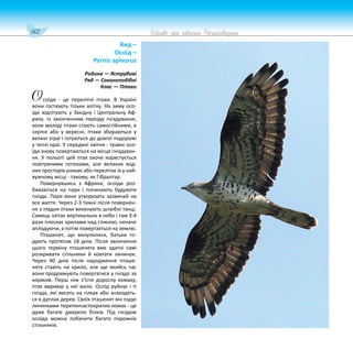 142 Цікаве про тварин Чернігівщини
Вид –
Осоїд –
Pernis apivorus
Родина — Яструбові
Ряд — Соколоподібні
Клас — Птахи
соїди - це перелітні птахи. В Україні
вони гостюють тільки влітку. На зиму осо-
їди відлітають у Західну і Центральну Аф-
рику. Із закінченням періоду гніздування,
коли молоді птахи стають самостійними, в
серпні або у вересні, птахи збираються у
великі зграї і готуються до довгої подорожі
у теплі краї. У середині квітня - травні осо-
їди знову повертаються на місця гніздуван-
ня. У польоті цей птах охоче користується
повітряними потоками, але великих вод-
них просторів уникає або перелітає їх у най-
вужчому місці - такому, як Гібралтар.
Повернувшись з Африки, осоїди роз-
биваються на пари і починають будувати
гнізда. Пари вони утворюють зазвичай на
все життя. Через 2-3 тижні після повернен-
ня з півдня птахи виконують шлюбні танці.
Самець злітає вертикально в небо і там 3-4
рази плескає крилами над спиною, неначе
аплодуючи, а потім повертається на землю.
Пташенят, що вилупилися, батьки го-
дують протягом 18 днів. Після закінчення
цього терміну пташенята вже здатні самі
розкривати стільники й ковтати личинок.
Через 40 днів після народження пташе-
нята стають на крило, але ще якийсь час
вони продовжують повертатися у гніздо за
кормом. Перш ніж з’їсти дорослу комаху,
птах вириває у неї жало. Осоїд руйнує і ті
гнізда, які висять на гілках або знаходять-
ся в дуплах дерев. Своїх пташенят він годує
личинками перетинчастокрилих комах - це
дуже багате джерело білків. Під гніздом
осоїда можна побачити багато порожніх
стільників.
О
 