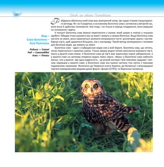 146 Цікаве про тварин Чернігівщини
айдужна оболонка очей сови має жовтуватий колір. Це надає птахові страшнувато-
го вигляду. Як і всі її родички, в основному болотяна сова є активною у вечірній час,
коли вона й здійснює полювання. Але іноді, і не тільки в період гніздування, вона вирушає
на полювання і вдень.
У польоті болотяну сову можна переплутати з лунем, який ширяє в повітрі у пошуках
здобичі. Обидва птаха шукають їжу на землі і живуть у схожих біотопах. Якщо болотяну сову
застати на землі, вона намагається залякати непроханого гостя: розчепірює крила і настов-
бурчує пір’я, щоб здаватися більшою, ніж є насправді. Такий метод залякування є типовим
для багатьох видів, що живуть на землі.
Болотяна сова - один з найрідкісних видів сов у всій Європі. Болотяну сову, що летить,
легко переплутати з вухатою совою. Тільки зверху видно типові закінчення махового пір’я,
якого у вухатої сови немає. У болотяної сови це пір’я має коричнево-чорне забарвлення, а
у вухатої сови на світлому оперенні видно темні смуги. «Вуха» у болотяної сови набагато
менші, ніж у вухатої. Ще одна відмінність - це різкий контраст між темними грудьми і світ-
лим черевцем у вухатої сови; у болотяної сови вся нижня частина тіла світла з темними
подовжніми смужками. Включено до Червоної книги України, до Конвенції з міжнародної
торгівлі вимираючими видами дикої фауни і флори (CITES), та Бернської конвенції.
Вид –
Сова болотяна –
Asio flammeus
Родина — Совові
Ряд — Совоподібні
Клас — Птахи
Р
 
