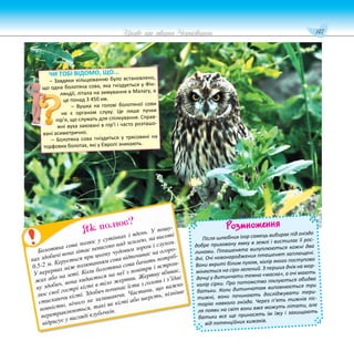 147
Цікаве про тварин Чернігівщини
Розмноження
Після шлюбних ігор самець вибирає під гніздо
добре приховану ямку в землі і вистилає її рос-
линами. Пташенята вилуплюються кожні два
дні. Очі новонароджених пташенят заплющені.
Вони вкриті білим пухом, колір якого поступово
міняється на сіро-зелений. З перших днів на мор-
дочці у дитинчати темна «маска», а очі мають
колір сірки. Про потомство піклуються обидва
батьки. Коли дитинчатам виповнюється три
тижні, вони починають досліджувати тери-
торію навколо гнізда. Через п’ять тижнів піс-
ля появи на світ вони вже можуть літати, але
батьки все ще приносять їм їжу і захищають
від потенційних хижаків.
Болотяна сова полює у сутінках і вдень. У пошу-
ках здобичі вона літає невисоко над землею, на висоті
0,5-2 м. Керується при цьому чудовим зором і слухом.
У перервах між полюванням сова відпочиває на огоро-
жах або на зеті. Коли болотяна сова бачить потріб-
ну здобич, вона кидається на неї з повітря і встром-
лює свої гострі кігті в тіло жертви. Жертву вбиває,
стискаючи кігті. Здобич починає їсти з голови і з’їдає
повністю, нічого не залишаючи. Частини, що важко
перетравлюються, такі як кігті або шерсть, пізніше
відригує у вигляді клубочків.
Як полює?
ЧИ ТОБІ ВІДОМО, ЩО...
– Завдяки кільцюванню було встановлено,
що одна болотяна сова, яка гніздується у Фін-
ляндії, літала на зимування в Малагу, а
це понад 3 450 км.
– Вушка на голові болотяної сови
не є органом слуху. Це лише пучки
пір’я, що служать для спілкування. Справ-
жні вуха заховані в пір’ї і часто розташо-
вані асиметрично.
– Болотяна сова гніздиться у трясовині на
торфових болотах, які у Європі зникають.
 