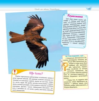 155
Цікаве про тварин Чернігівщини
Розмноження
Свої яйця самка шуліки від-
кладає в самому кінці квітня,
іноді - на початку травня, коли
середня температура атмос-
фери досягає 8-10 0C. Число яєць
в кладці може бути 2-4 штуки. Їх
оболонка зазвичай білого кольо-
ру, іноді з блакитним відтінком,
відмітною ознакою є червоно-
бурі плями по всій площі шкара-
лупи. Пташенята з`являються
на світ через місяць після того,
як самка почне їх насиджувати,
приблизно в першій половині
червня.
Раціон харчування найчастіше складають падаль і
різні харчові відходи. Ці пернаті хижаки можуть по-
лювати на невеликих звірків, таких як хом`яки, ховра-
хи, ласки, щури. Не гребує шуліка поласувати і перна-
тими менших розмірів, в його раціон можуть входити
воронята, дрозди і зозулі, дитинчата бакланів і ча-
пель. І звичайно ж, в їх меню є риба, якої вони годують
своїх пташенят.
Що їсть?
ЧИ ТОБІ ВІДОМО, ЩО...
– Спеціальне обстеження в Ок-
ському заповіднику показало, що
більше 80% принесених шу-
ліками в гнізда качок були
підібрані або мертвими,
або, найчастіше, поране-
ними (особливо на початку
осіннього полювання). Так
що з усіх лісових пернатих хижаків
приз за санітарно-оздоровчу ді-
яльність безумовно заслуговують
шуліки.
– Перед тим, як годувати своє
потомство, самки обробляють ви-
добуток: з дрібних звірків вони
зривають шкуру і обезглавлюють, а
пташок общипують.
 