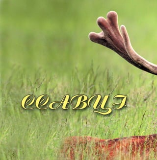 156 Цікаве про тварин Чернігівщини
 