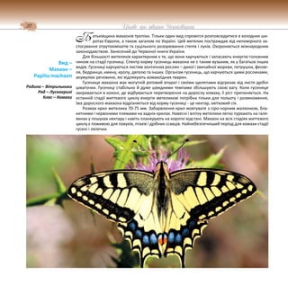 20 Цікаве про тварин Чернігівщини
атьківщина махаонів тропіки. Тільки один вид спромігся розповсюдитися в холодних ши-
ротах Європи, а також загалом по Україні. Цей метелик постраждав від непомірного за-
стосування отрутохімікатів та суцільного розорювання степів і луків. Охороняється міжнародним
законодавством. Занесений до Червоної книги України.
Для більшості метеликів характерним є те, що вони харчуються і запасають енергію головним
чином на стадії гусениці. Спектр корму гусениць махаона не є таким вузьким, як у багатьох інших
видів. Гусениці харчуються листям зонтичних рослин – дикої і звичайної моркви, петрушки, фенхе-
ля, бедринця, кмину, кропу, дягелю та інших. Організм гусениць, що харчуються цими рослинами,
акумулює речовини, які відлякують комахоїдних тварин.
Гусениця махаона має могутній ротовий апарат і своїми щелепами відгризає від листя дрібні
шматочки. Гусениці стабільно й дуже швидкими темпами збільшують свою вагу. Коли гусениця
закривається в коконі, де відбувається перетворення на дорослу комаху, її ріст припиняється. На
останній стадії життєвого циклу енергія метеликові потрібна тільки для польоту і розмноження,
їжа дорослого махаона відрізняється від корму гусениці - це нектар, квітковий сік.
Розмах крил метелика 70-75 мм. Забарвлення крил жовтувате з сіро-чорним малюнком, бла-
китними і червоними плямами на задніх крилах. Навесні і влітку метелики легко пурхають на галя-
винах у пошуках нектару і навіть планерують на короткі відстані. Махаон на всіх стадіях життєвого
циклу є поживою для павуків, птахів і дрібних ссавців. Найнебезпечніший період для комахи стадії
гусені і лялечки.
Вид –
Махаон –
Papilio machaon
Родина – Вітрильники
Ряд – Лускокрилі
Клас – Комахи
Б
 