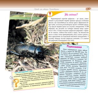 41
Цікаве про тварин Чернігівщини
Розмноження
Після спаровування самки відкла-
дають у землю до 500–600 яєць. Піз-
но навесні або на початку літа, через
3–4 тижні після відкладання яєць, на
світ з’являються личинки польових
цвіркунів, які відразу ж линяють і пе-
ретворюються на безкрилих німф.
Німфи повзають по землі, харчують-
ся рослинами, ховаються серед листя
і дуже швидко ростуть. Протягом
літа вони 7–8 разів линяють. З на-
станням холодів личинки ховаються
в нірки завдовжки близько 20 см, які
риють щелепами і старанно закупо-
рюють зсередини землею. Зимують
вони в землі, а вже у травні перетво-
рюються на імаго. Імаго, в порівнянні
з личинкою, живе дуже недовго. Цвір-
куни швидко стають статевозрілими
і в кінці весни приступають до розмно-
ження. У серпні вони гинуть.
ЧИ ТОБІ ВІДОМО, ЩО...
– Мешканці деяких європейських країн, що люблять мо-
нотонний заспокійливий скрекіт, тримають цвіркунів дома.
– Китайці користуються природною агресивніс-
тю самців польових цвіркунів, влаштовуючи між
ними поєдинки. Переможець як винагороду отри-
мує ласощі.
– Якщо між самцями польових цвіркунів відбува-
ється поєдинок, то переможець зазвичай поїдає пе-
реможеного.
Характерний скрекіт цвіркуна – це звуки, ство-
рювані в результаті тертя правим крилом особливих
жилок, що знаходяться на лівому крилі. Цвірчання до-
бре чути, оскільки резонатором звуків є підняті крила.
Сім циклів тертя крила на секунду створюють 4 200
вібрацій, які звучать на чотири октави вище серед-
нього «до». Самці польових цвіркунів цвірчать з трав-
ня по липень, сидячи біля входу в нірку. За допомогою
цього «співу» вони привертають увагу самок і разом з
тим тримають на поважній відстані конкурентів. У
холодну дощову погоду цвіркуни мовчать, а в сонячні
дні цвірчать безперервно всю добу.
Як співає?
 