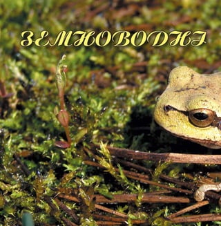 Цікаве про тварин Чернігівщини
56
 