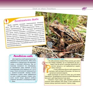 63
Цікаве про тварин Чернігівщини
Жаби середніх розмірів (максимальна довжина
тіла 100–110 мм). Забарвлення тіла характеризу-
ється переважанням світло-коричневих тонів з на-
явністю плямистості. Як і для інших представників
цієї групи, доволі типовим є розвиток у потиличній
області темної L-подібної (лямбдовидної) плями та
темних бокових «скроневих» смуг, що йдуть від кін-
чика морди часто майже до основи передніх кінцівок.
Забарвлення черева представлене невеликими, темни-
ми плямами неправильної форми на брудно-сірому або
жовтуватому тлі. У шлюбний період горло самців має
блакитний відтінок.
Зовнішність жаби
Активність жаби
Для трав’яних жаб характерна при-
смерково-нічна активність. Удень вони
ховаються у порожнинах під камінням,
пнями, у листовій підстилці. При ак-
тивному полюванні та температу-
рі приземного шару повітря 11–21°С
температура тіла тварини на 1–2,5°С
вища. Сезон активності завершується
у жовтні–листопаді. Зимівля неста-
тевозрілих особин може відбуватися
на суші в норах гризунів, старих пнях,
купах листя тощо. Дорослі особини
зимують звичайно у незамерзлих водо-
ймах.
ЧИ ТОБІ ВІДОМО, ЩО...
– Як жаба виживає взимку? Вона залізає для зимів-
лі в яку-небудь водойму, що не промерзає до дна, і
сидить там до весни в повному заціпенінні: всі
життєві процеси в неї відбуваються надзви-
чайно повільно.
– У разі небезпеки багато жаб надуваються
повітрям, щоб виглядати більшими, так вони на-
магаються налякати ворогів.
– Жаба заплющує очі коли їсть тому, що у неї немає
піднебіння, і їй доводиться тиснути очними яблуками на
їжу в роті, щоб підштовхнути її до горла.
– Квакають тільки самці, щоб привабити самок. За
голосом самка вибирає собі самця. У разі наближення
хижака самець припиняє квакати і пірнає у воду.
 