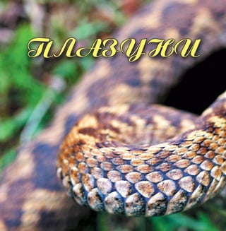 64 Цікаве про тварин Чернігівщини
 