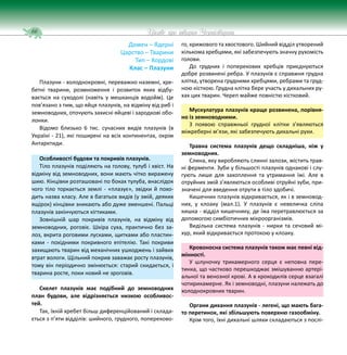 66 Цікаве про тварин Чернігівщини
Домен – Ядерні
Царство – Тварини
Тип – Хордові
Клас – Плазуни
Плазуни - холоднокровні, переважно наземні, хре-
бетні тварини, розмноження і розвиток яких відбу-
вається на суходолі (навіть у мешканців водойм). Це
пов’язано з тим, що яйця плазунів, на відміну від риб і
земноводних, оточують захисні яйцеві і зародкові обо-
лонки.
Відомо близько 6 тис. сучасних видів плазунів (в
Україні - 21), які поширені на всіх континентах, окрім
Антарктиди.
Особливості будови та покривів плазунів.
Тіло плазунів поділяють на голову, тулуб і хвіст. На
відміну від земноводних, вони мають чітко виражену
шию. Кінцівки розташовані по боках тулуба, внаслідок
чого тіло торкається землі - «плазує», звідки й похо-
дить назва класу. Але в багатьох видів (у змій, деяких
ящірок) кінцівки зникають або дуже зменшені. Пальці
плазунів закінчуються кігтиками.
Зовнішній шар покривів плазунів, на відміну від
земноводних, роговіє. Шкіра суха, практично без за-
лоз, вкрита роговими лусками, щитками або пластин-
ками - похідними покривного епітелію. Такі покриви
захищають тварин від механічних ушкоджень і зайвих
втрат вологи. Щільний покрив заважає росту плазунів,
тому він періодично змінюється: старий скидається, і
тварина росте, поки новий не зроговів.
Скелет плазунів має подібний до земноводних
план будови, але відрізняється низкою особливос-
тей.
Так, їхній хребет більш диференційований і склада-
ється з п’яти відділів: шийного, грудного, попереково-
го, крижового та хвостового. Шийний відділ утворений
кількома хребцями, які забезпечують значну рухомість
голови.
До грудних і поперекових хребців приєднуються
добре розвинені ребра. У плазунів є справжня грудна
клітка, утворена грудними хребцями, ребрами та груд-
ною кісткою. Грудна клітка бере участь у дихальних ру-
хах цих тварин. Череп майже повністю кістковий.
Мускулатура плазунів краще розвинена, порівня-
но із земноводними.
З появою справжньої грудної клітки з’являються
міжреберні м’язи, які забезпечують дихальні рухи.
Травна система плазунів дещо складніша, ніж у
земноводних.
Слина, яку виробляють слинні залози, містить трав-
ні ферменти. Зуби у більшості плазунів однакові і слу-
гують лише для захоплення та утримання їжі. Але в
отруйних змій з’являються особливі отруйні зуби, при-
значені для введення отрути в тіло здобичі.
Кишечник плазунів відкривається, як і в земновод-
них, у клоаку (мал.1). У плазунів є невеличка сліпа
кишка - відділ кишечнику, де їжа перетравлюється за
допомогою симбіотичних мікроорганізмів.
Видільна система плазунів - нирки та сечовий мі-
хур, який відкривається протокою у клоаку.
Кровоносна система плазунів також має певні від-
мінності.
У шлуночку трикамерного серця є неповна пере-
тинка, що частково перешкоджає змішуванню артері-
альної та венозної крові. А в крокодилів серце взагалі
чотирикамерне. Як і земноводні, плазуни належать до
холоднокровних тварин.
Органи дихання плазунів - легені, що мають бага-
то перетинок, які збільшують поверхню газообміну.
Крім того, їхні дихальні шляхи складаються з послі-
 