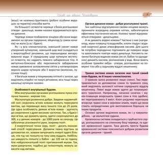 9
Цікаве про тварин Чернігівщини
(воші) чи наземно-ґрунтового (робочі особини мура-
шок чи термітів) способів життя.
На більшості сегментів черевця з боків розташовані
отвори - дихальця, якими назовні відкриваються орга-
ни дихання.
Черевце комах позбавлене кінцівок або вони видо-
змінені на органи парування, яйцеклад (у самок кони-
ків) чи жало (у ос і бджіл).
Як і у всіх членистоногих, зовнішній скелет комах
утворений кутикулою, зовнішній шар якої складається
з жироподібної речовини, що перешкоджає випаро-
вуванню води. У середньому шарі кутикули містять-
ся пігменти, які надають певного забарвлення тілу. А
металічно-блискуче або переливчасте забарвлення
комах зумовлене заломленням світла у напівпрозорих
верхніх шарах кутикули або її виростах (волосках, лу-
сочках тощо).
У багатьох комах у покривному епітелії є залози, що
виділяють отруйні чи пахучі речовини, віск тощо через
канальці кутикули назовні.
Особливості внутрішньої будови.
Між внутрішніми органами розташована пухка спо-
лучна тканина - жирове тіло.
Мускулатура розвинена добре. Завдяки надзвичай-
ній силі скорочень м’язів комахи можуть пересувати
вантаж, що перевищує масу їхнього тіла до 25 разів.
Ще одна особливість деяких м’язів комах - здатність
до скорочення з дуже високою частотою. Так, у бджіл і
мух м’язи, що рухають крила, здатні скорочуватися до
300, а у деяких комарів - до 1000 разів за секунду. Це
забезпечує різноманітні рухи, зокрема політ.
З енергетичної точки зору, політ - досить економ-
ний спосіб пересування. Долаючи певну відстань за
допомогою ніг, комахи витрачають енергії вдвічі біль-
ше, ніж під час польоту на таку саму віддаль. Найбіль-
ша швидкість польоту у бабок - до 120 км за годину.
Але найдосконаліший політ притаманний мухам. Так,
мухи-дзюрчалки, подібно до гелікоптерів, можуть за-
висати над квітами.
Органи дихання комах - добре розгалужені трахеї.
Їхні найтонші відгалуження своїми кінцями можуть
проникати всередину окремих клітин, забезпечуючи
ефективне постачання кисню. Назовні трахеї відкрива-
ються отворами - дихальцями.
А як дихають водяні комахи? Частина з них (напри-
клад, жуки-плавунці та водолюби, клопи гладун і водя-
ний скорпіон) дихає атмосферним киснем. Для цього
їм потрібно періодично підпливати до поверхні води
та захоплювати повітря через дихальця. Натомість ли-
чинки багатьох водяних комах (як-от, бабок та одноде-
нок) дихають киснем, розчиненим у воді. Вони мають
особливі трахейні зябра - утвори, розташовані на по-
верхні тіла або у задньому відділі кишечнику.
Травна система комах загалом має такий самий
план будови, як й інших членистоногих.
З травних залоз розвинені лише слинні. Їжа пере-
травлюється за допомогою слини та травного соку,
який виділяють залозисті клітини середнього відділу
кишечнику. Певні види комах здатні до позакишко-
вого травлення. Наприклад, личинки сонечок і жу-
ків-плавунців впорскують травні соки в тіло здобичі,
які перетравлюють її вміст. Клоп шкідлива черепашка
впорскує травні соки в зернівки злаків, через що вони
стають непридатними для виготовлення борошна чи
інших продуктів.
Основні органи виділення комах, як і у павукопо-
дібних, - це мальпігієві судини.
Кровоносна система складається з трубчастого сер-
ця, розташованого на спинному боці черевця, та єди-
ної кровоносної судини. Така досить проста будова
кровоносної системи пояснюється добрим розвитком
органів дихання - трахей.
 