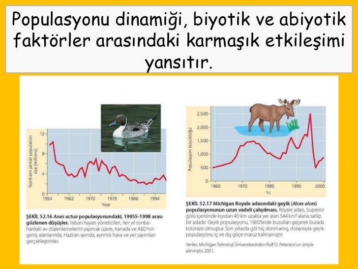 Abiyotik faktörler ve bunların habitat üzerindeki etkisi Abiyotik faktörler ve bunların habitat üzerindeki etkisi