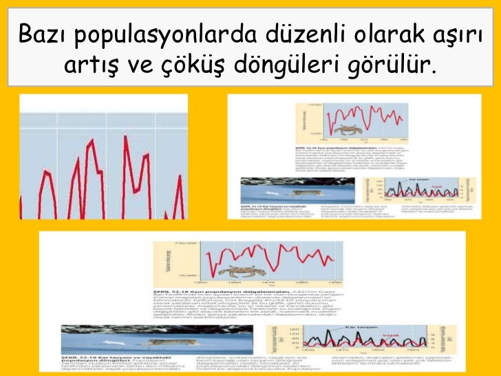 Abiyotik faktörler ve bunların habitat üzerindeki etkisi Abiyotik faktörler ve bunların habitat üzerindeki etkisi