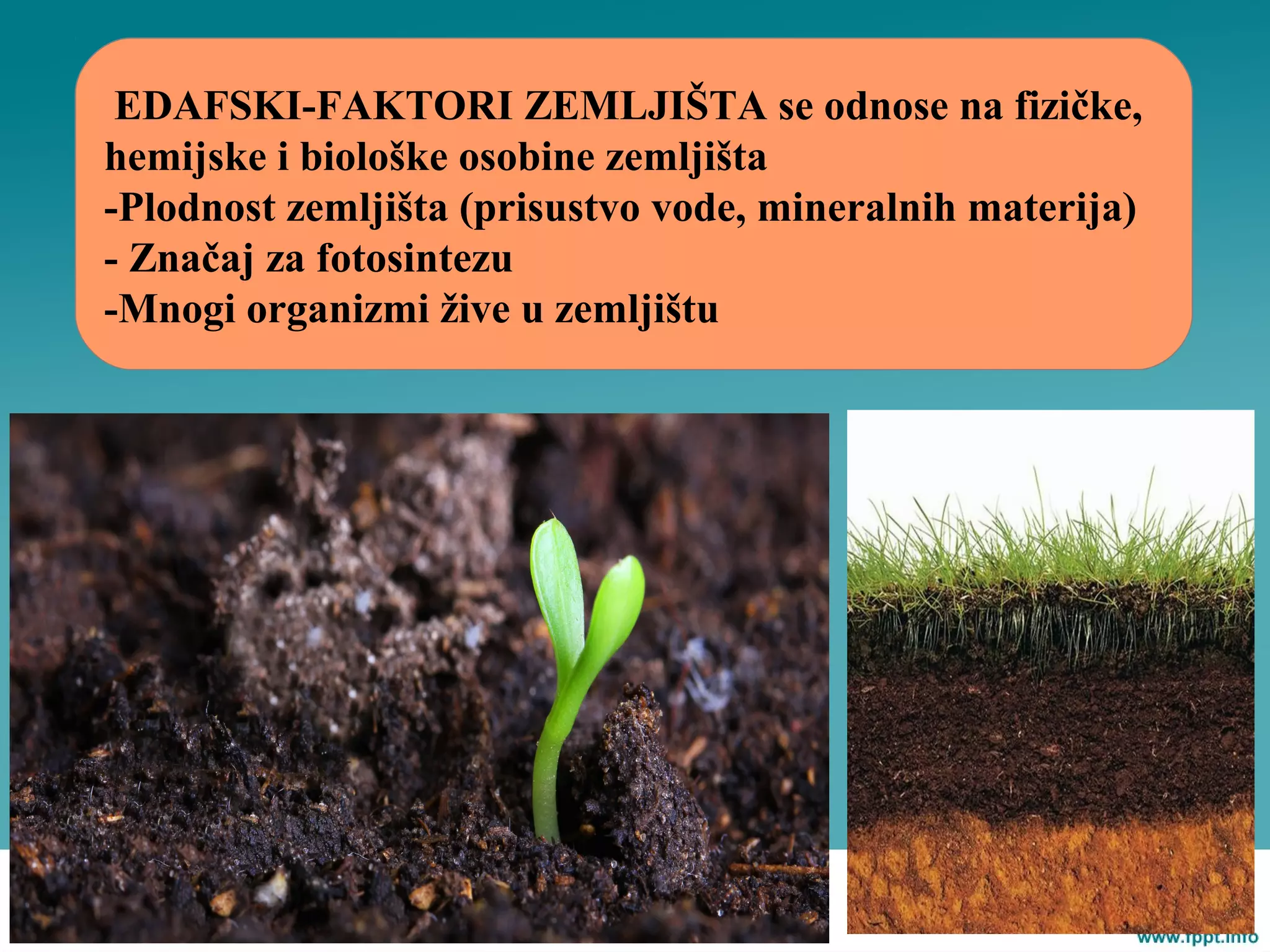 EDAFSKI-FAKTORI ZEMLJIŠTA se odnose na fizičke,
hemijske i biološke osobine zemljišta
-Plodnost zemljišta (prisustvo vode, mineralnih materija)
- Značaj za fotosintezu
-Mnogi organizmi žive u zemljištu
 