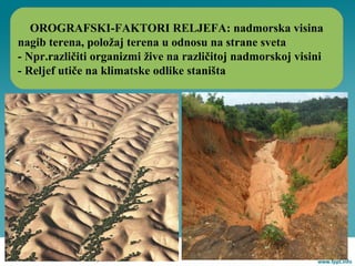 OROGRAFSKI-FAKTORI RELJEFA: nadmorska visina
nagib terena, položaj terena u odnosu na strane sveta
- Npr.različiti organizmi žive na različitoj nadmorskoj visini
- Reljef utiče na klimatske odlike staništa
 
