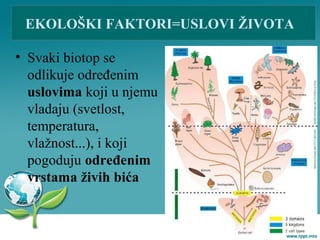 • Svaki biotop se
odlikuje određenim
uslovima koji u njemu
vladaju (svetlost,
temperatura,
vlažnost...), i koji
pogoduju određenim
vrstama živih bića
EKOLOŠKI FAKTORI=USLOVI ŽIVOTA
 
