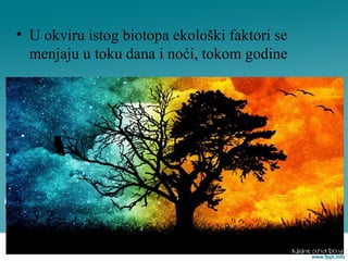 • U okviru istog biotopa ekološki faktori se
menjaju u toku dana i noći, tokom godine
 