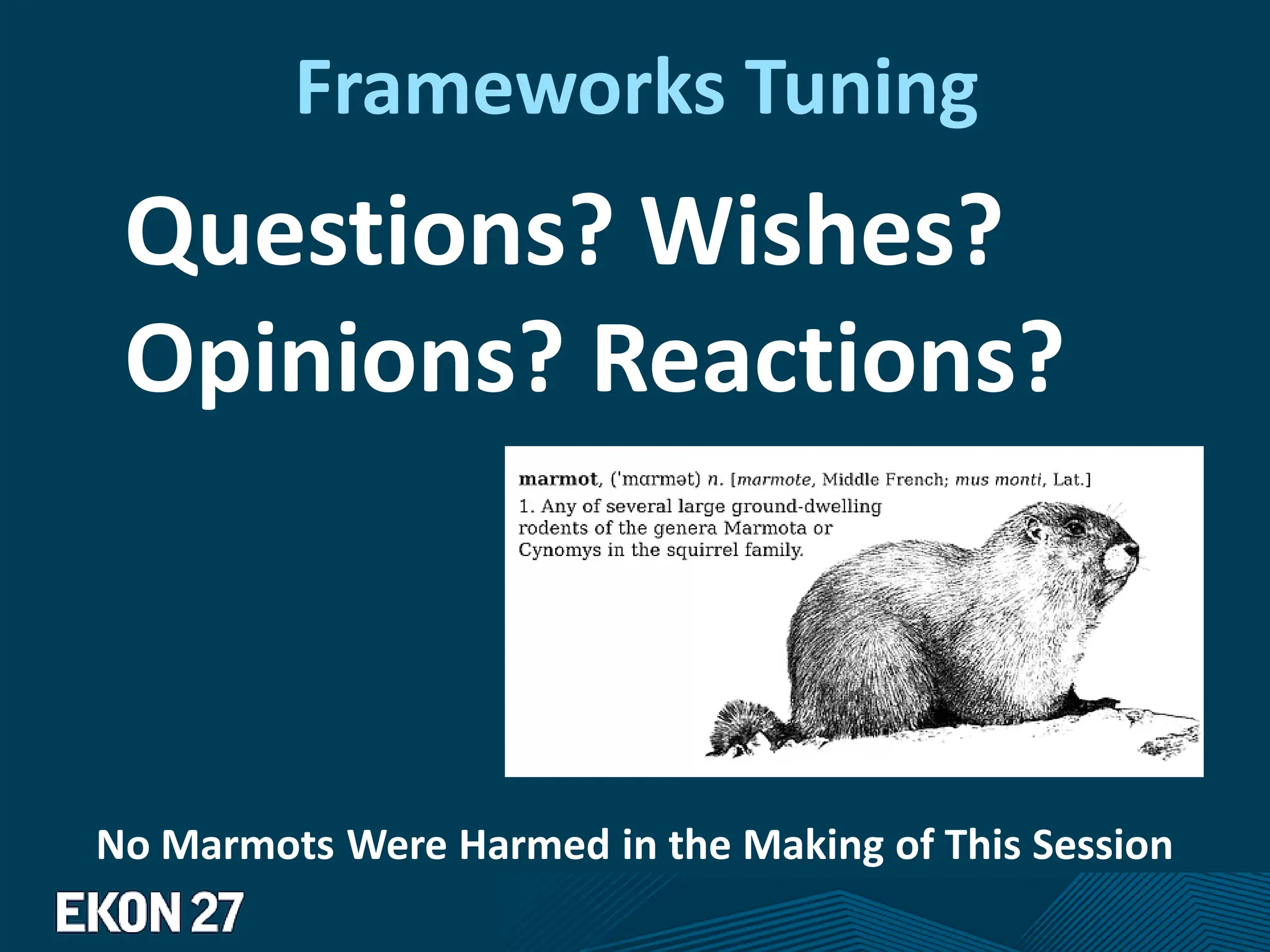 Frameworks Tuning
Questions? Wishes?
Opinions? Reactions?
No Marmots Were Harmed in the Making of This Session
 