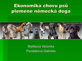 Ekonomika chovu psů plemene německá doga Staňková Veronika Pavlásková Gabriela 