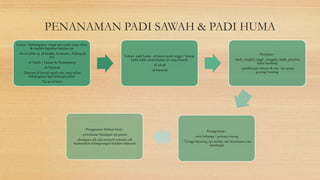 Ekonomi tradisional STPM SEM 3