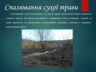 Спалювання сухої трави
Спалювання сухої рослинності та сміття завдає величезної шкоди довкіллю,
створює загрозу для життя рослинного і тваринного світу, а нерідко і людей, та
може призвести до некерованих надзвичайних ситуацій, особливо у пожежно-
небезпечний період.
 