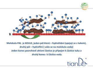 Molekula PAL je KOULE, jeden pól které – hydrofobní (spojuji se z tukem),
druhý pól – hydrofilní ( váže se na molekulu vody)
Jeden konec povrchově aktivní částice je připojen k částice tuku a
druhý konec- k částice vody
Принцип действия ПАВ
 