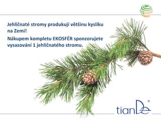 Jehličnaté stromy produkují většinu kyslíku
na Zemi!
Nákupem kompletu EKOSFÉR sponzorujete
vysazování 1 jehličnatého stromu.
 