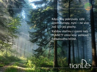 Kdysi lesy pokrývaly celé
území Evropy, nyní – ne více
než 1/3 její plochy.
Každou vteřinu z území naši
PLANETY zmizí lesy velikosti
fotbalového hřiště.
 
