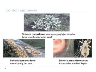 Contoh simbiosis




            Simbiosis mutualisme antara ganggang hijau biru dan
            Jamur membentuk lumut kerak




  Simbiosis komensalisme                       Simbiosis parasitisme antara
  antara kerang dan paus                       Kutu rambut dan kulit kepala
 