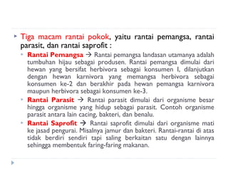    Tiga macam rantai pokok, yaitu rantai pemangsa, rantai
    parasit, dan rantai saprofit :
       Rantai Pemangsa  Rantai pemangsa landasan utamanya adalah
        tumbuhan hijau sebagai produsen. Rantai pemangsa dimulai dari
        hewan yang bersifat herbivora sebagai konsumen I, dilanjutkan
        dengan hewan karnivora yang memangsa herbivora sebagai
        konsumen ke-2 dan berakhir pada hewan pemangsa karnivora
        maupun herbivora sebagai konsumen ke-3.
       Rantai Parasit  Rantai parasit dimulai dari organisme besar
        hingga organisme yang hidup sebagai parasit. Contoh organisme
        parasit antara lain cacing, bakteri, dan benalu.
       Rantai Saprofit  Rantai saprofit dimulai dari organisme mati
        ke jasad pengurai. Misalnya jamur dan bakteri. Rantai-rantai di atas
        tidak berdiri sendiri tapi saling berkaitan satu dengan lainnya
        sehingga membentuk faring-faring makanan.
 