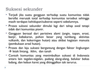 Suksesi sekunder
   Terjadi jika suatu gangguan terhadap suatu komunitas tidak
    bersifat merusak total terhadap komunitas tersebut sehingga
    masih terdapat kehidupan/substrat seperti sebelumnya.
   Proses suksesi sekunder dimulai lagi dari tahap awal tetapi
    tidak dari komunitas pionir.
   Gangguan berasal dari peristiwa alami (angin, topan, erosi,
    banjir, kebakaran, pohon besar yang tumbang, aktivitas
    vulkanik, dan kekeringan hutan) atau akibat kegiatan manusia
    (pembukaan areal hutan).
   Proses dan laju suksesi bergantung dengan faktor lingkungan
     letak lintang, iklim, dan tanah
   Contoh komunitas yang menimbulkan suksesi di Indonesia
    antara lain tegalan-tegalan, padang alang-alang, belukar bekas
    ladang, dan kebun karet yang ditinggalkan tak terurus.
 