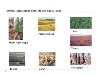 Bioma (Ekosistem darat dalam skala luas)




                                           Taiga
                       Padang rumput


 Hutan hujan tropis

                                           Tundra




                                           Hutan gugur
  Savana               Gurun
 