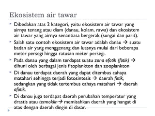 Ekosistem air tawar
   Dibedakan atas 2 kategori, yaitu ekosistem air tawar yang
    airnya tenang atau diam (danau, kolam, rawa) dan ekosistem
    air tawar yang airnya senantiasa bergerak (sungai dan parit).
   Salah satu contoh ekosistem air tawar adalah danau  suatu
    badan air yang menggenang dan luasnya mulai dari beberapa
    meter persegi hingga ratusan meter persegi.
   Pada danau yang dalam terdapat suatu zona efotik (fotik) 
    dihuni oleh berbagai jenis fitoplankton dan zooplankton
   Di danau terdapat daerah yang dapat ditembus cahaya
    matahari sehingga terjadi fotosintesis  daerah fotik,
    sedangkan yang tidak tertembus cahaya matahari  daerah
    afotik.
   Di danau juga terdapat daerah perubahan temperatur yang
    drastis atau termoklin memisahkan daerah yang hangat di
    atas dengan daerah dingin di dasar.
 