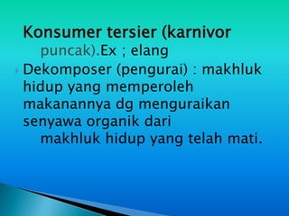 Konsumer tersier (karnivor
    puncak).Ex ; elang
 Dekomposer (pengurai) : makhluk
  hidup yang memperoleh
  makanannya dg menguraikan
  senyawa organik dari
    makhluk hidup yang telah mati.
 