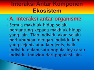  A.   Interaksi antar organisme
   Semua makhluk hidup selalu
    bergantung kepada makhluk hidup
    yang lain. Tiap individu akan selalu
    berhubungan dengan individu lain
    yang sejenis atau lain jenis, baik
    individu dalam satu populasinya atau
    individu-individu dari populasi lain.
 