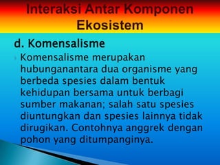 d. Komensalisme
   Komensalisme merupakan
    hubunganantara dua organisme yang
    berbeda spesies dalam bentuk
    kehidupan bersama untuk berbagi
    sumber makanan; salah satu spesies
    diuntungkan dan spesies lainnya tidak
    dirugikan. Contohnya anggrek dengan
    pohon yang ditumpanginya.
 