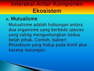 e.   Mutualisme
   Mutualisme adalah hubungan antara
    dua organisme yang berbeda spesies
    yang saling menguntungkan kedua
    belah pihak. Contoh, bakteri
    Rhizobium yang hidup pada bintil akar
    kacang-kacangan.
 