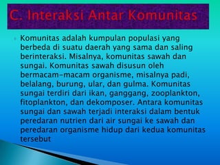    Komunitas adalah kumpulan populasi yang
    berbeda di suatu daerah yang sama dan saling
    berinteraksi. Misalnya, komunitas sawah dan
    sungai. Komunitas sawah disusun oleh
    bermacam-macam organisme, misalnya padi,
    belalang, burung, ular, dan gulma. Komunitas
    sungai terdiri dari ikan, ganggang, zooplankton,
    fitoplankton, dan dekomposer. Antara komunitas
    sungai dan sawah terjadi interaksi dalam bentuk
    peredaran nutrien dari air sungai ke sawah dan
    peredaran organisme hidup dari kedua komunitas
    tersebut
 