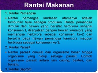 Rantai Makanan
1. Rantai Pemangsa
 Rantai    pemangsa landasan utamanya adalah
  tumbuhan hijau sebagai produsen. Rantai pemangsa
  dimulai dari hewan yang bersifat herbivora sebagai
  konsumen I, dilanjutkan dengan hewan karnivora yang
  memangsa herbivora sebagai konsumen ke-2 dan
  berakhir pada hewan pemangsa karnivora maupun
  herbivora sebagai konsumen ke-3.
2. Rantai Parasit
 Rantai parasit dimulai dari organisme besar hingga
  organisme yang hidup sebagai parasit. Contoh
  organisme parasit antara lain cacing, bakteri, dan
  benalu.
3. Rantai Saprofit
 