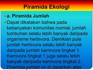 Piramida Ekologi
 a. Piramida Jumlah
 Dapat dikatakan bahwa pada
 kebanyakan komunitas normal, jumlah
 tumbuhan selalu lebih banyak daripada
 organisme herbivora. Demikian pula
 jumlah herbivora selalu lebih banyak
 daripada jumlah karnivora tingkat 1.
 Kamivora tingkat 1 juga selalu lebih
 banyak daripada karnivora tingkat 2.
 Piramida jumlah ini di dasarkan atas
 