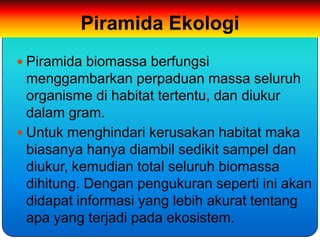 Piramida Ekologi
 Piramida biomassa berfungsi
  menggambarkan perpaduan massa seluruh
  organisme di habitat tertentu, dan diukur
  dalam gram.
 Untuk menghindari kerusakan habitat maka
  biasanya hanya diambil sedikit sampel dan
  diukur, kemudian total seluruh biomassa
  dihitung. Dengan pengukuran seperti ini akan
  didapat informasi yang lebih akurat tentang
  apa yang terjadi pada ekosistem.
 