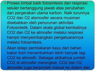  Proses timbal balik fotosintesis dan respirasi
  seluler bertanggung jawab atas perubahan
  dan pergerakan utama karbon. Naik turunnya
  CO2 dan O2 atsmosfer secara musiman
  disebabkan oleh penurunan aktivitas
  Fotosintetik. Dalam skala global kembalinya
  CO2 dan O2 ke atmosfer melalui respirasi
  hampir menyeimbangkan pengeluarannya
  melalui fotosintesis.
 Akan tetapi pembakaran kayu dan bahan
  bakar fosil menambahkan lebih banyak lagi
  CO2 ke atmosfir. Sebagai akibatnya jumlah
  CO2 di atmosfer meningkat. CO2 dan O2
  atmosfer juga berpindah masuk ke dalam dan
 