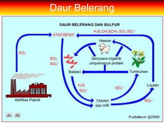 Daur Belerang
 