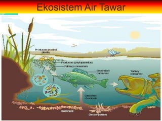 Ekosistem Air Tawar
 