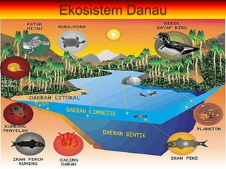 Ekosistem Danau
 