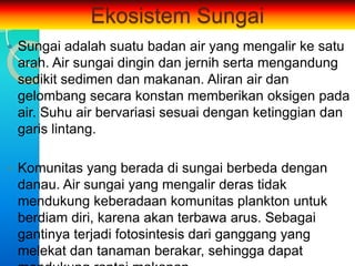Ekosistem Sungai
   Sungai adalah suatu badan air yang mengalir ke satu
    arah. Air sungai dingin dan jernih serta mengandung
    sedikit sedimen dan makanan. Aliran air dan
    gelombang secara konstan memberikan oksigen pada
    air. Suhu air bervariasi sesuai dengan ketinggian dan
    garis lintang.

   Komunitas yang berada di sungai berbeda dengan
    danau. Air sungai yang mengalir deras tidak
    mendukung keberadaan komunitas plankton untuk
    berdiam diri, karena akan terbawa arus. Sebagai
    gantinya terjadi fotosintesis dari ganggang yang
    melekat dan tanaman berakar, sehingga dapat
 