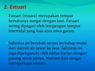 2. Estuari
 Estuari (muara) merupakan tempat
  bersatunya sungai dengan laut. Estuari
  sering dipagari oleh lempengan lumpur
  intertidal yang luas atau rawa garam.

 Salinitas air berubah secara bertahap mulai
  dari daerah air tawar ke laut. Salinitas ini
  juga dipengaruhi oleh siklus harian dengan
  pasang surut aimya. Nutrien dari sungai
  memperkaya estuari.
 