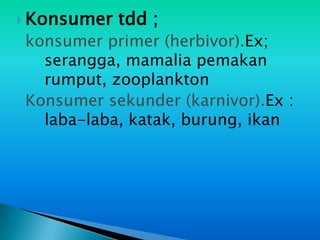 Konsumer   tdd ;
konsumer primer (herbivor).Ex;
  serangga, mamalia pemakan
  rumput, zooplankton
Konsumer sekunder (karnivor).Ex :
  laba-laba, katak, burung, ikan
 