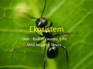 Ekosistem
Oleh : Budi Purwanto, S.Pd
SMA Negeri 1 Terara
 