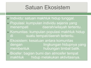 Contoh Individu Ekosistem | PPTX